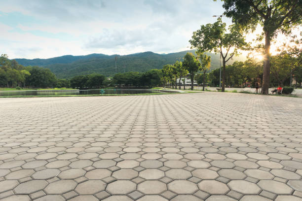 Best Permeable Paver Driveway  in Warrensburg, IL